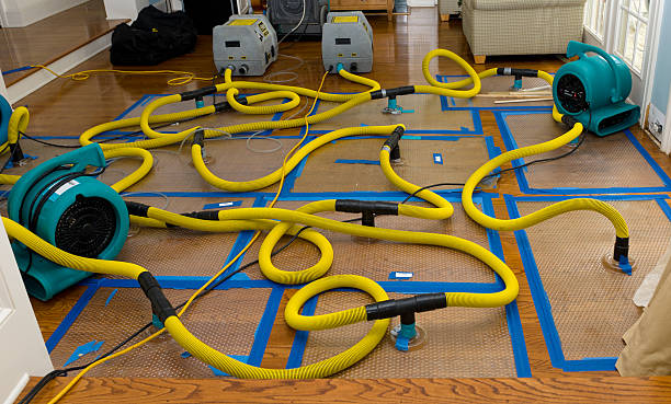 Professional Basement Flood Cleanup technician working in Rittman, OH